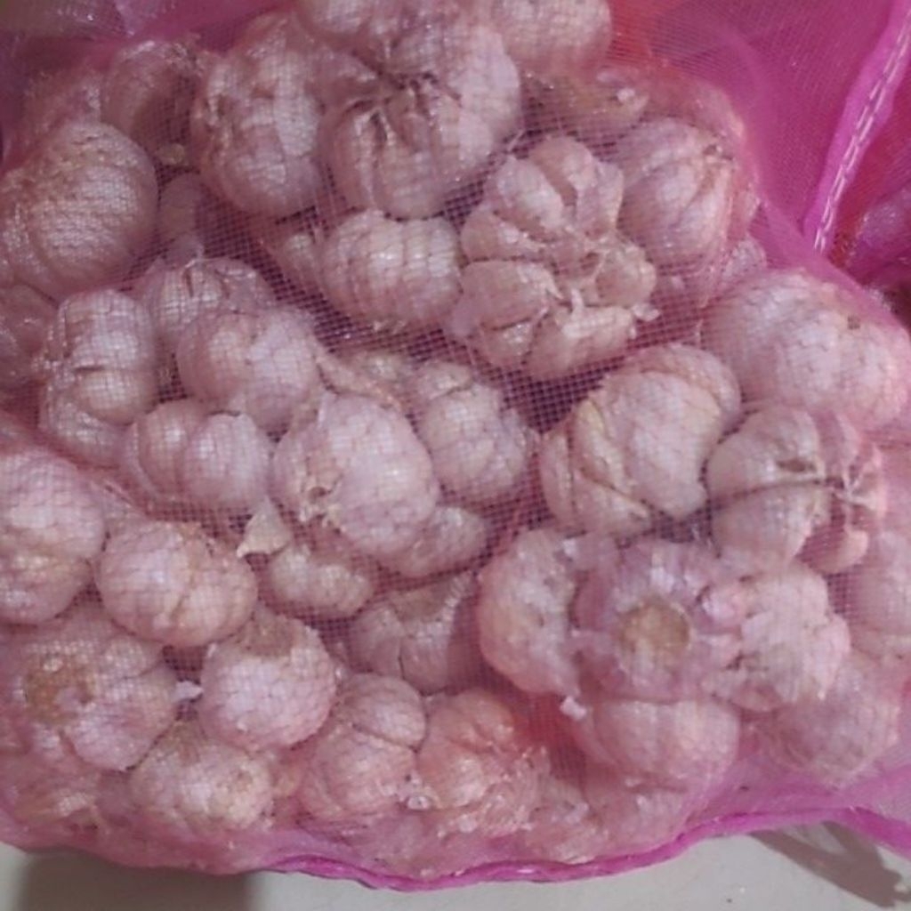 

Bawang putih 20kg/10kg/5kg bersih