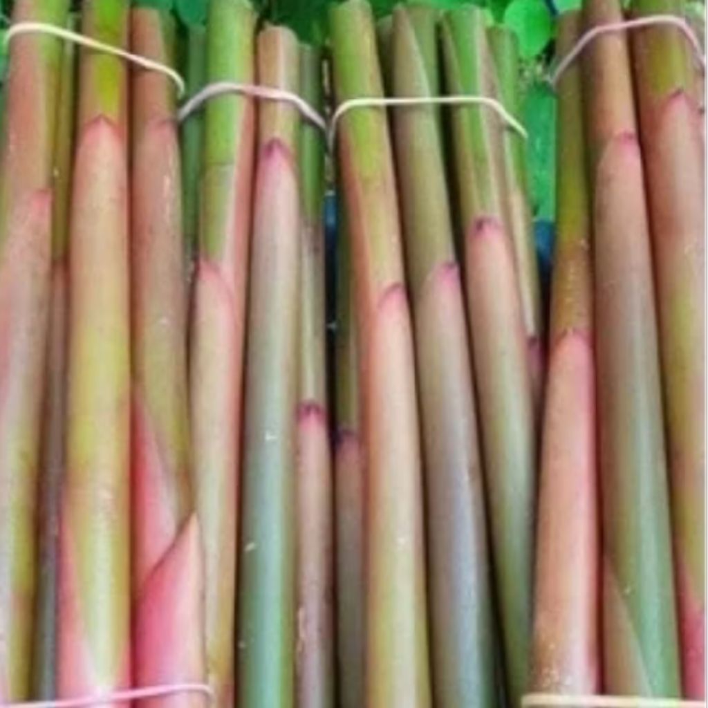 

Batang comrang untuk perlengkapan memasak per 500gr