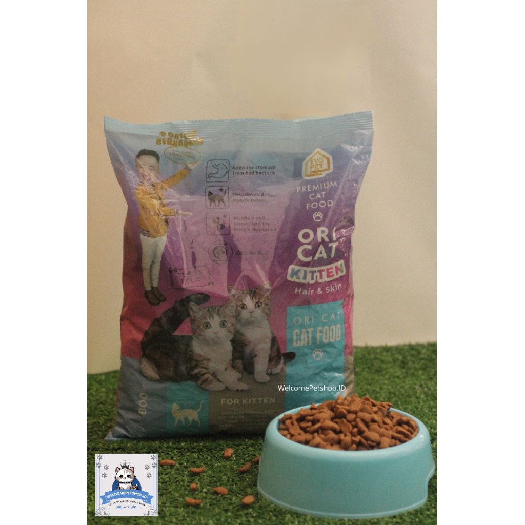 Ori Cat Kitten