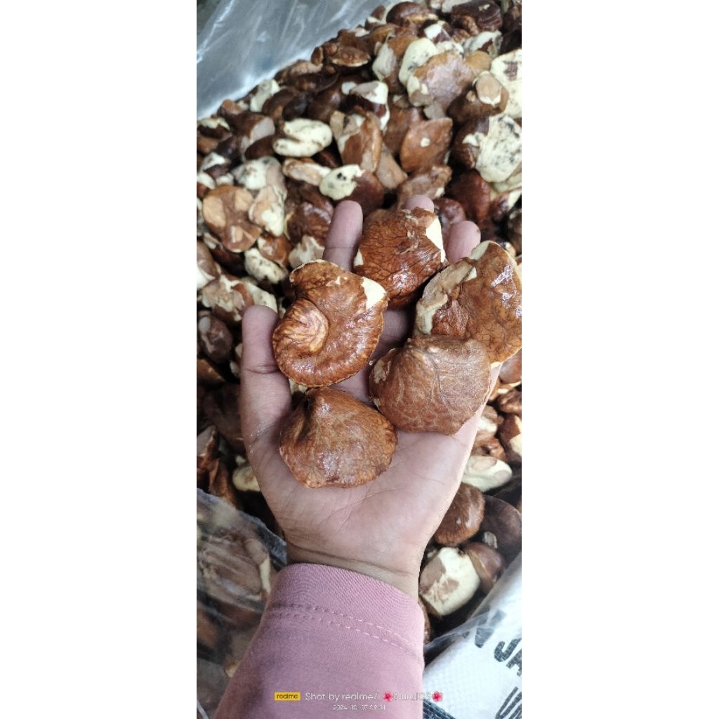 

gayam mentah sudah kupas kulit