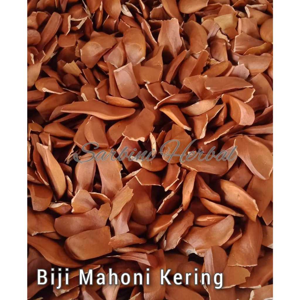 

Biji Mahoni Kering / Kering Biji Mahoni 100 gram / 250 gram / Simplisia Kering Biji Mahoni Garansi Terjamin 100% Asli Murni / Bahan Biji Mahoni Kering/Bahan Biji Mahoni Premium / Jamu Herbal Biji Mahoni Tradisional Tanpa Bahan Pengawet
