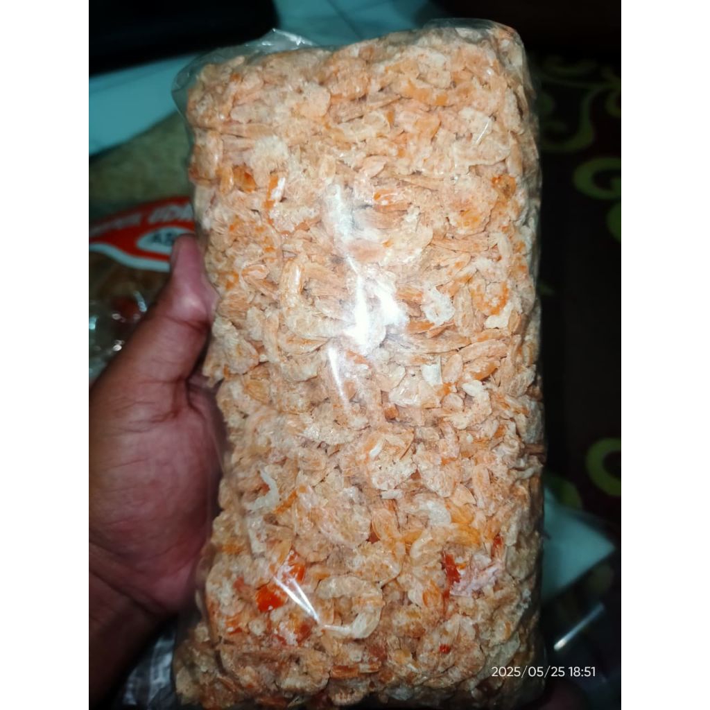 

DD | HEBI/UDANG HEBI FRESH JERMAL KECIL KUBU RAYA