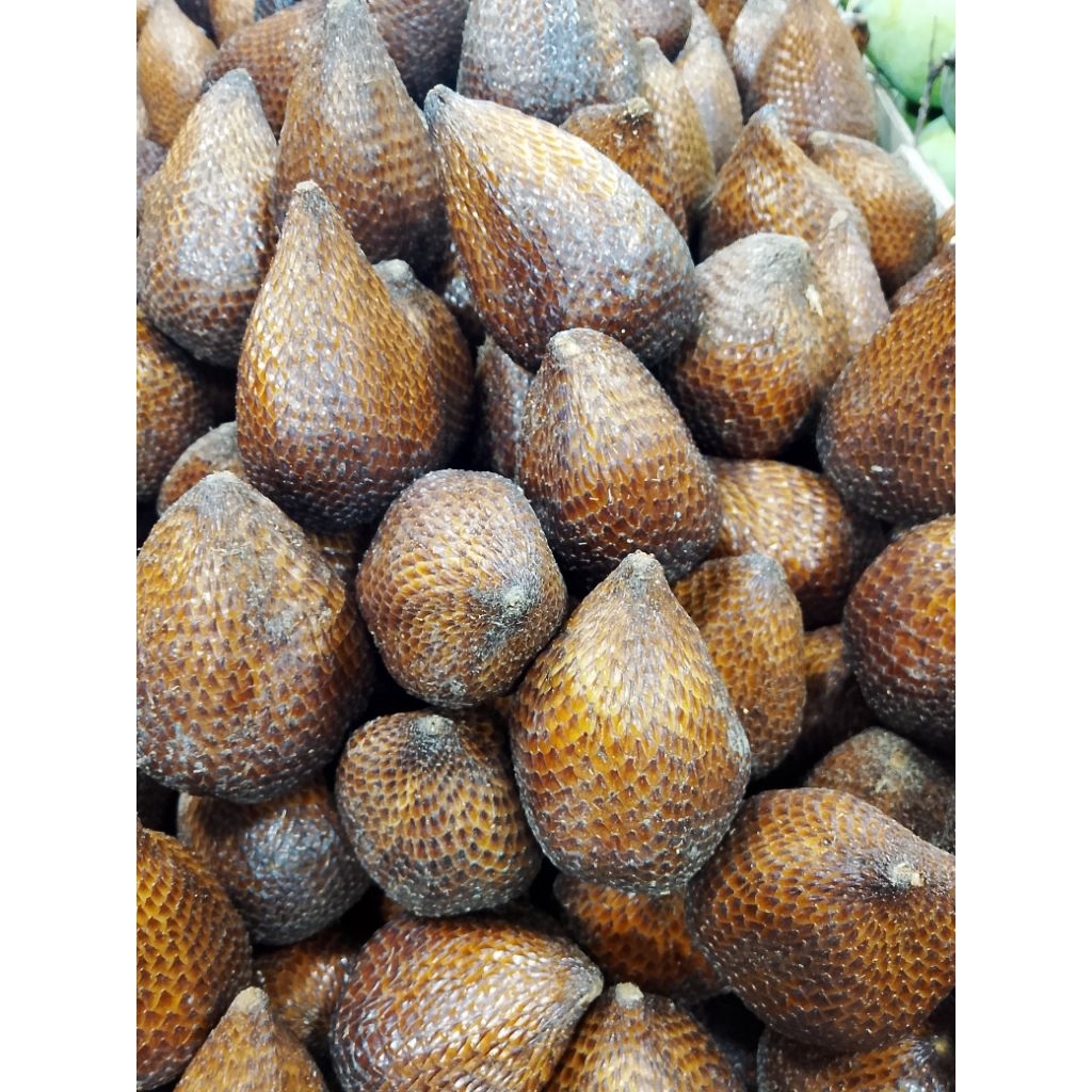 

Salak pondoh