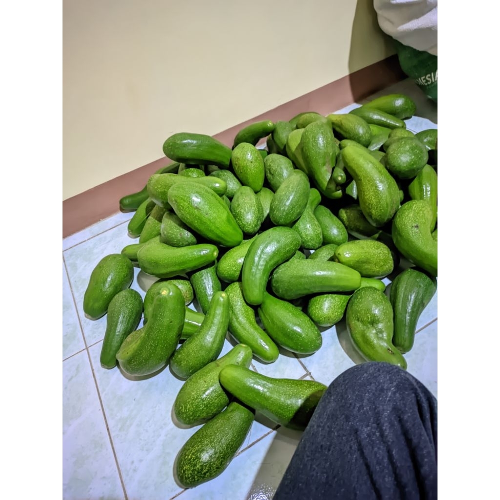 

alpukat mentega isi 2-3 jumbo super premium