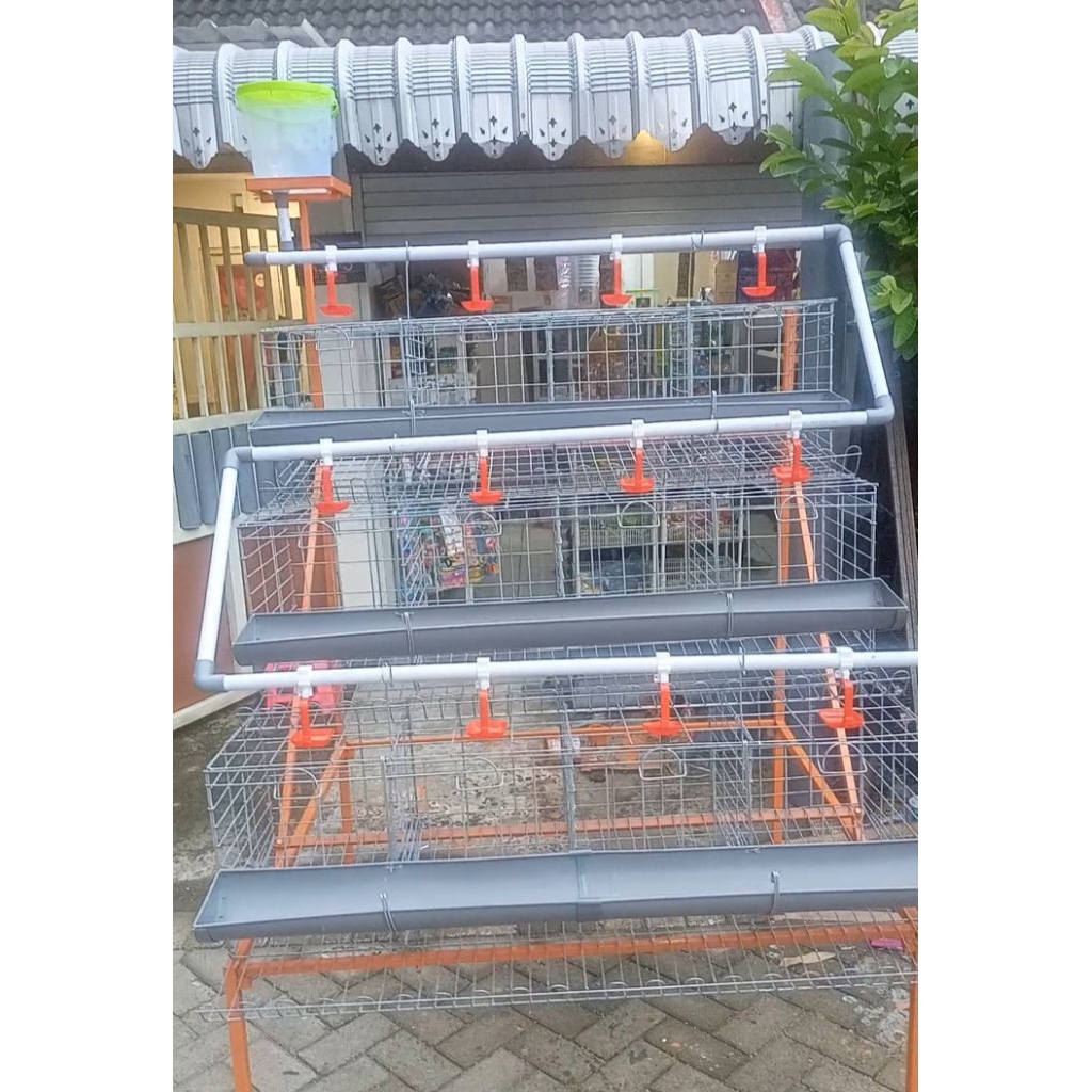 Kandang Batre Galvanis Ayam Petelur Full Set Lengkap Kapasitas 20,  24 & 30 Ekor