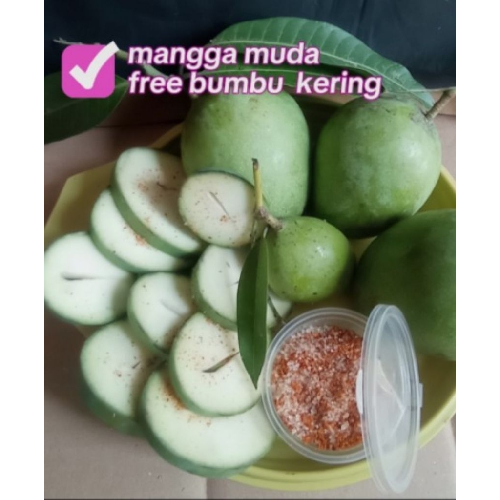 

mangga muda. + bumbu kering 1 kg cocok buat rujakan