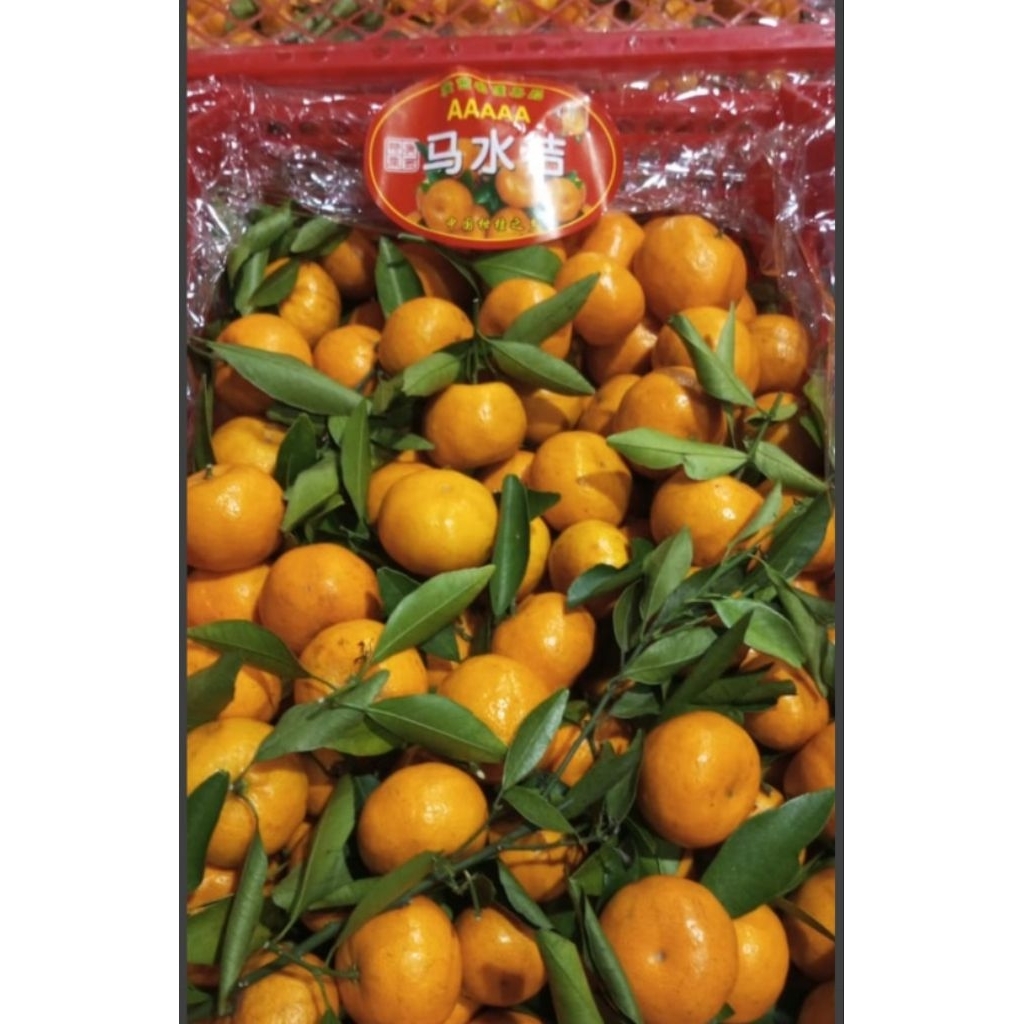 

[instan only] jeruk wokam daun segar berat 3kg