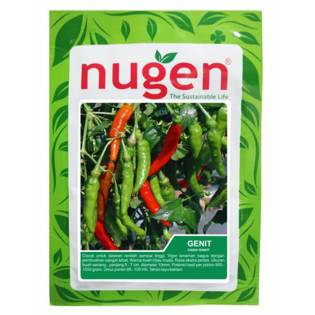 Benih Cabe Rawit Hijau Nugen Genit 10gr Rasa Pedas