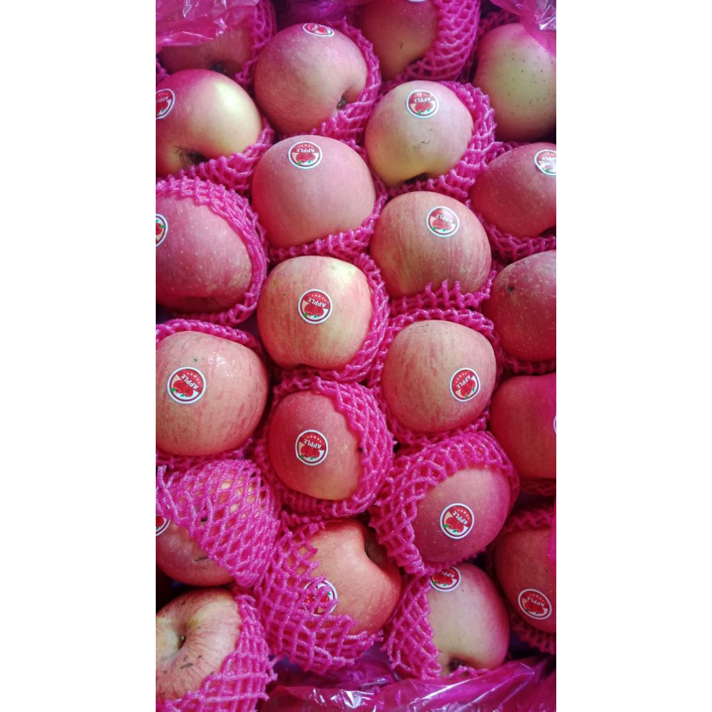 

Apel Fuji size88