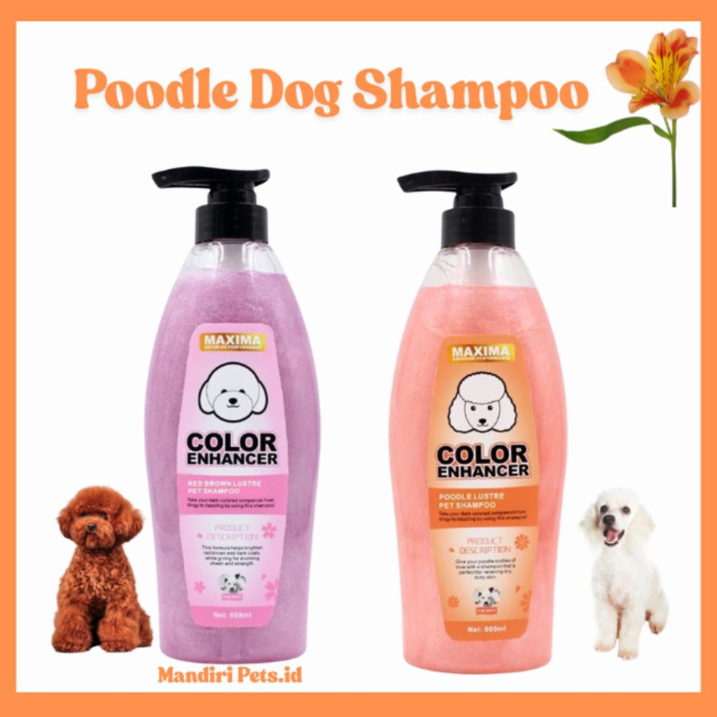 Maxima Poodle Dog Shampoo - Shampoo Anjing poodle