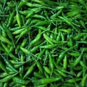 

CABE RAWIT HIJAU / IJO 500gram