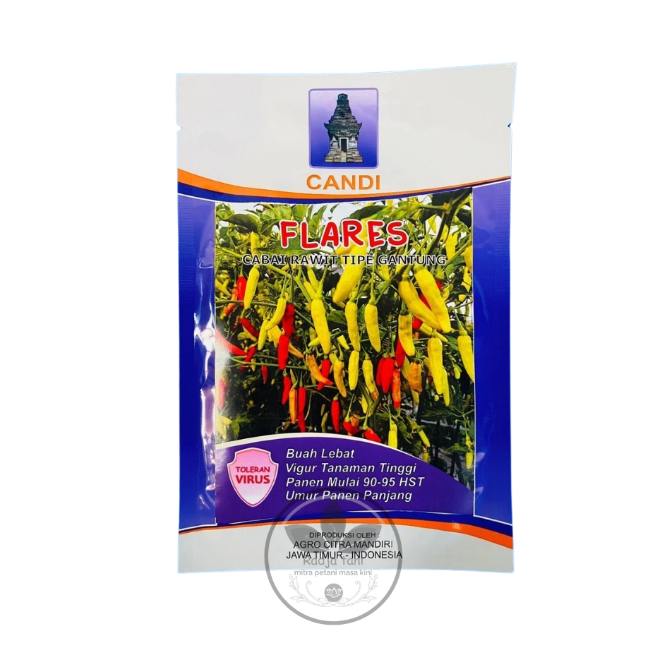 Benih - Benih Cabai Rawit FLARES isi 10gr dari CANDI (CANDI)