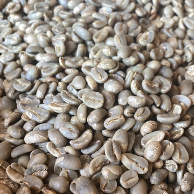 

Green Bean Arabika (Buntu Lentak) 1 Kg Full Wash Procesed