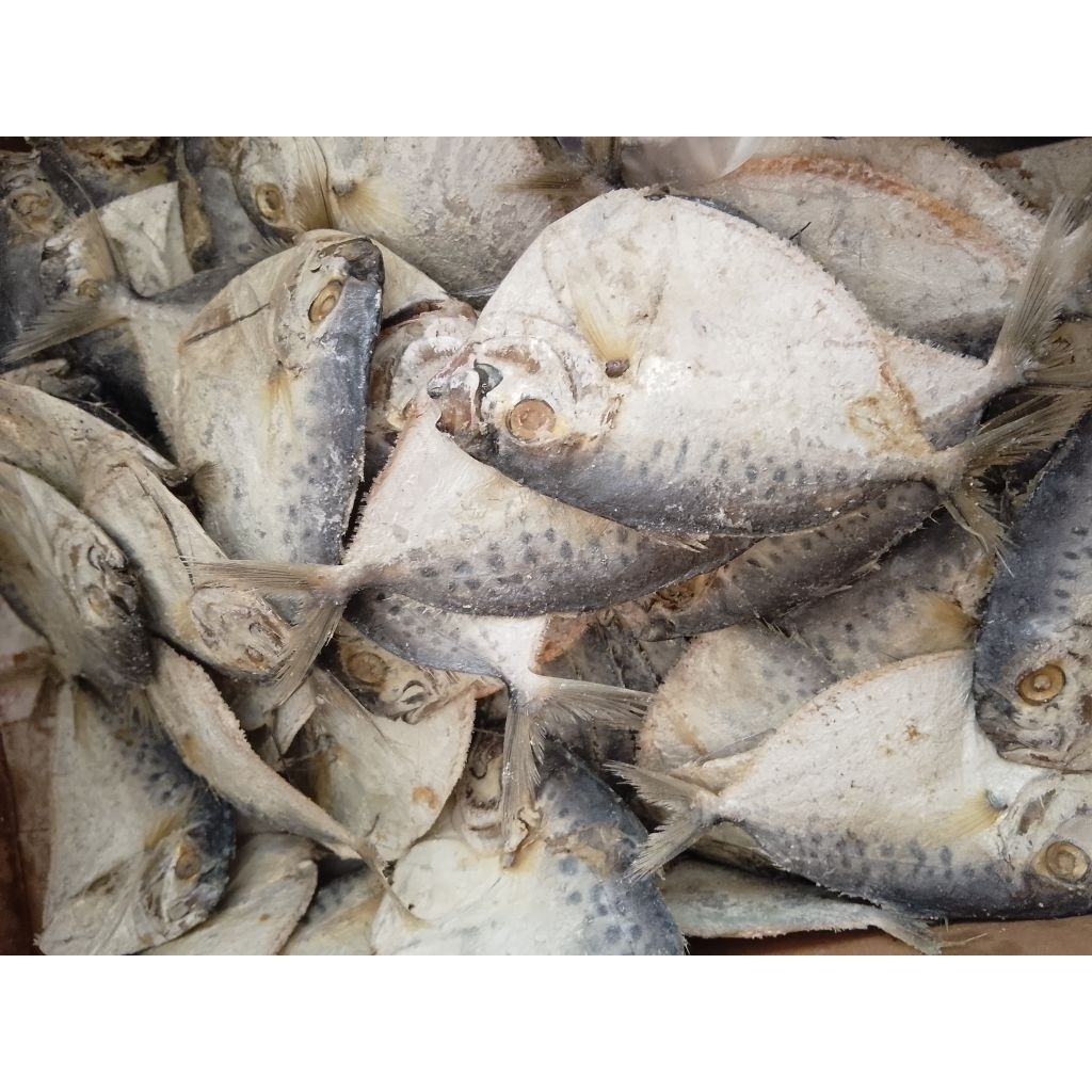 

ikan asin etem segar berkualitas