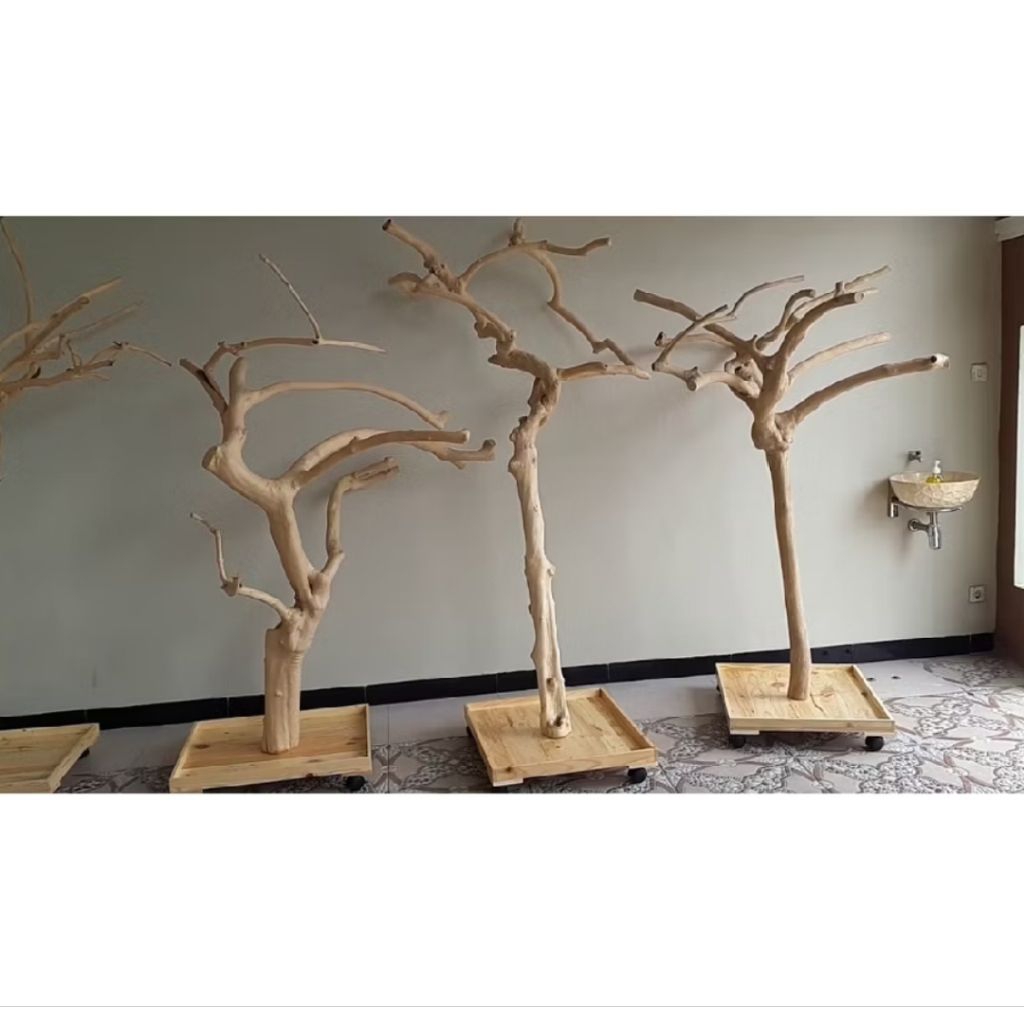 Tangkringan burung bercabang 60 cm dari kayu kopi