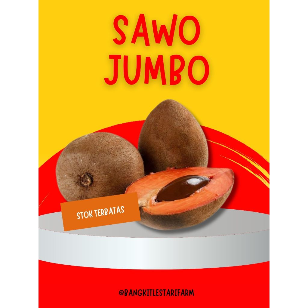 

STOK TERBATAS !! Buah Mamey Sapote Sawo