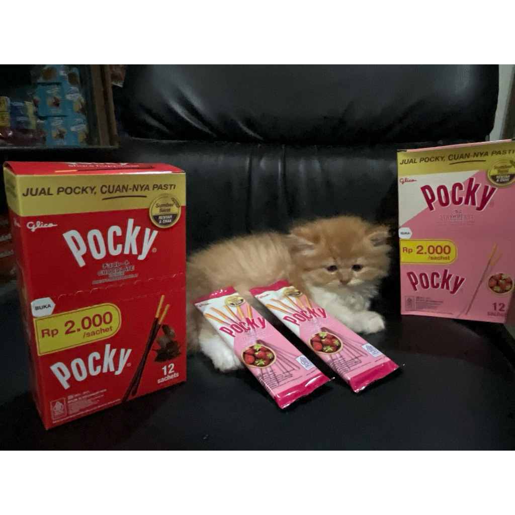 

Glico Pocky SACHET Perpak Isi 12 Pcs