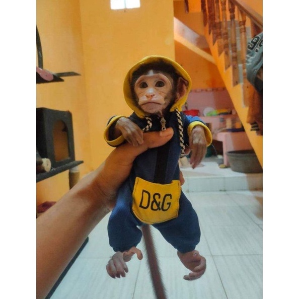 KODE U9H BAJU MONPAI  BERUK BABY  DEWASAbaca diskripsi ukuran sebelum memesan