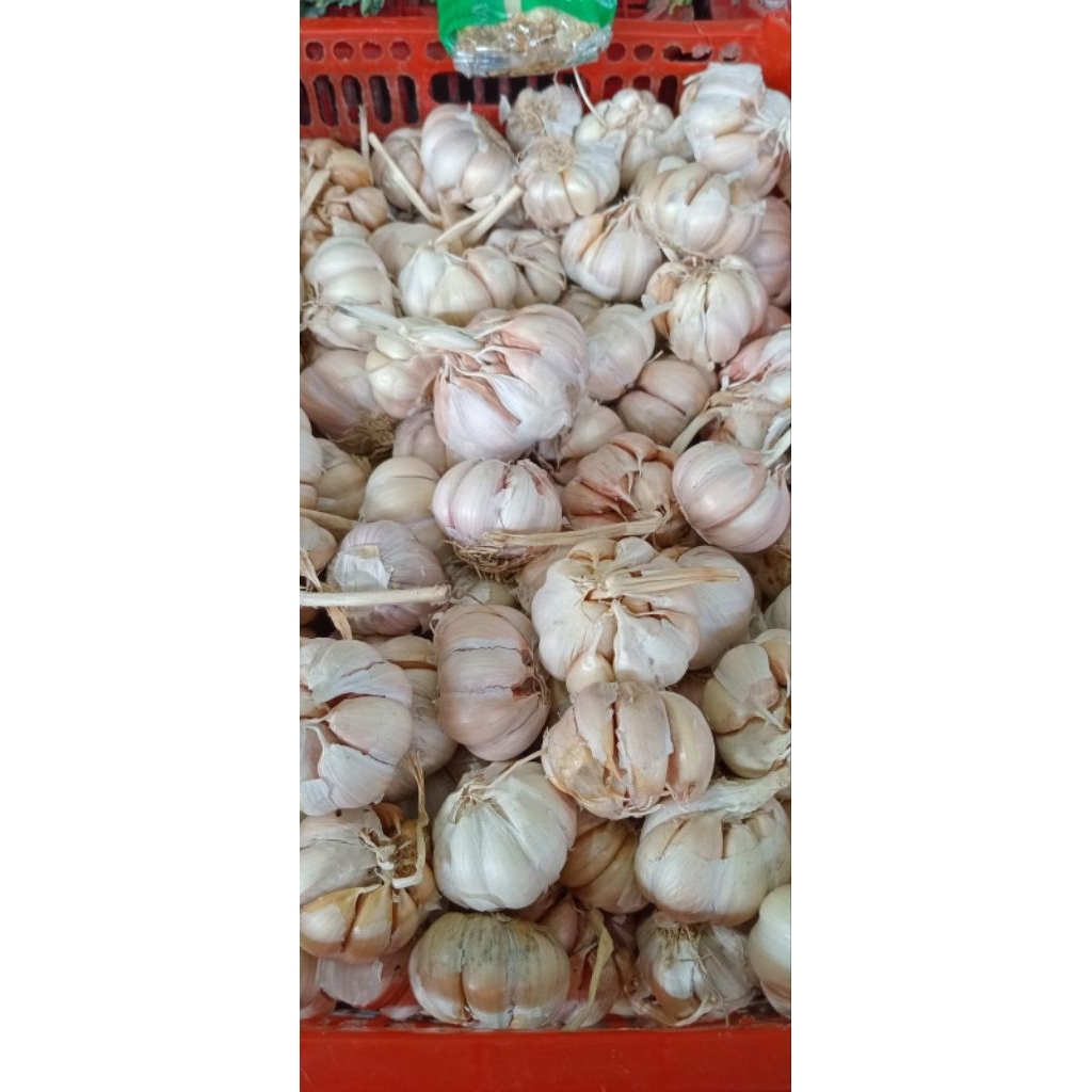 

bawang putih 1kg ... lihat deskripsi