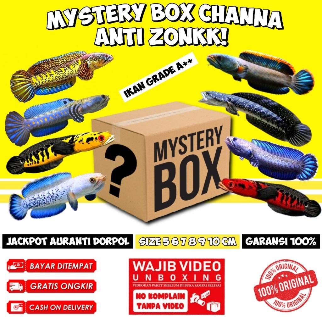 Misteri box channa random anti zonk murah bergaransi