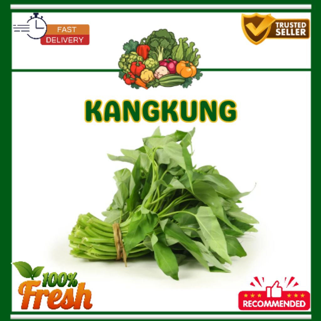 

KIRIM INSTAN Sayur Kangkung 1 Ikat