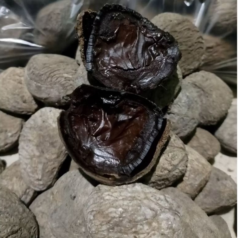

KLUWEK Picung Bumbu Rawon Ful Hitam Dan Tidak Pahit 500 Gram