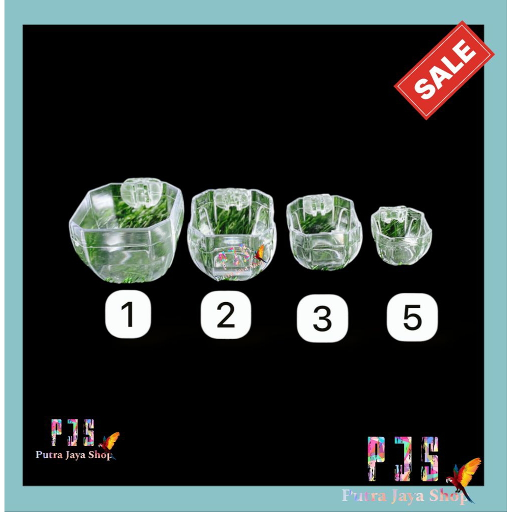 cepuk pakan minum burung | cepuk burung kotak segi 8 ELITE SONG