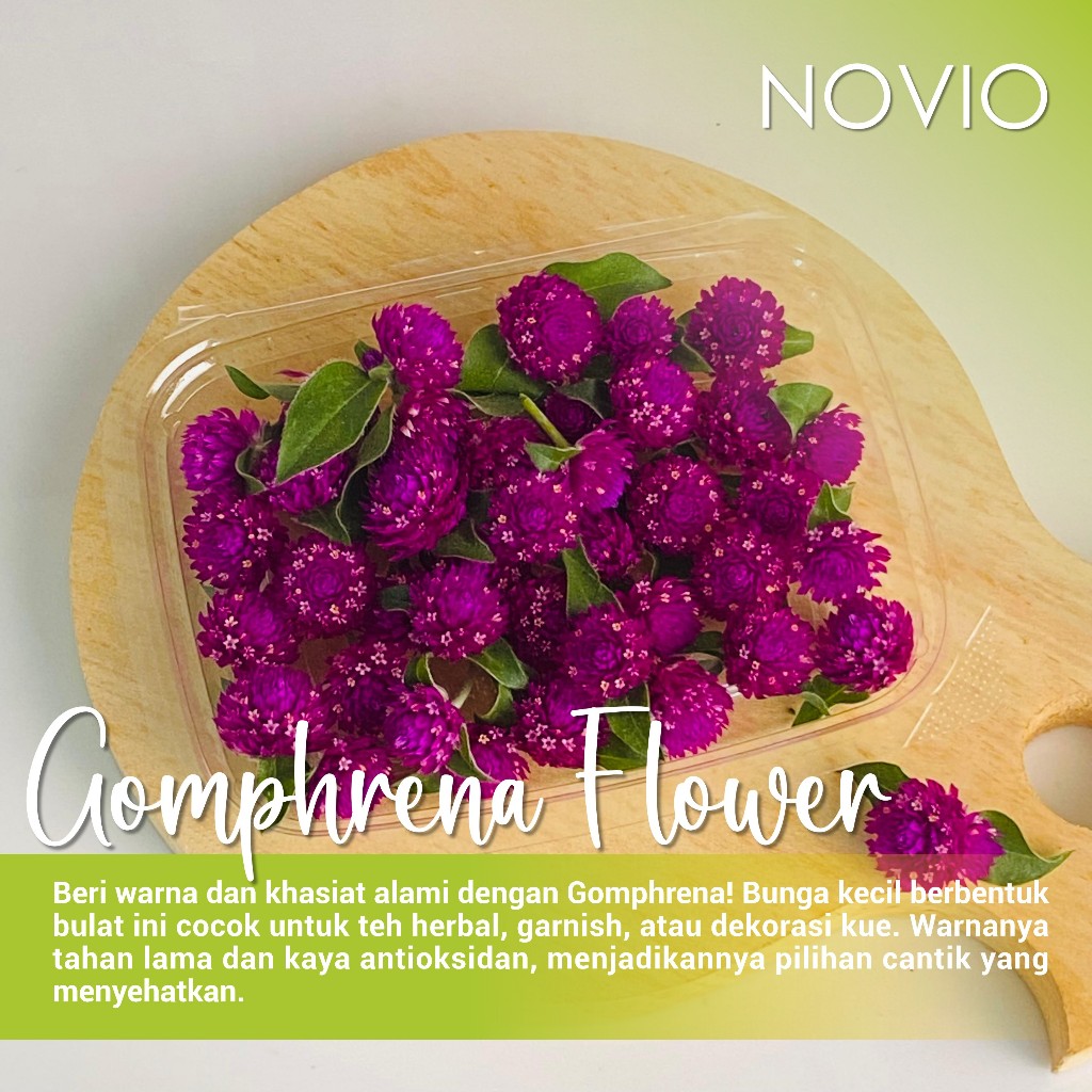 

Bunga gomphrena fresh / edible flower gomphrena / bunga gomphrena / fresh