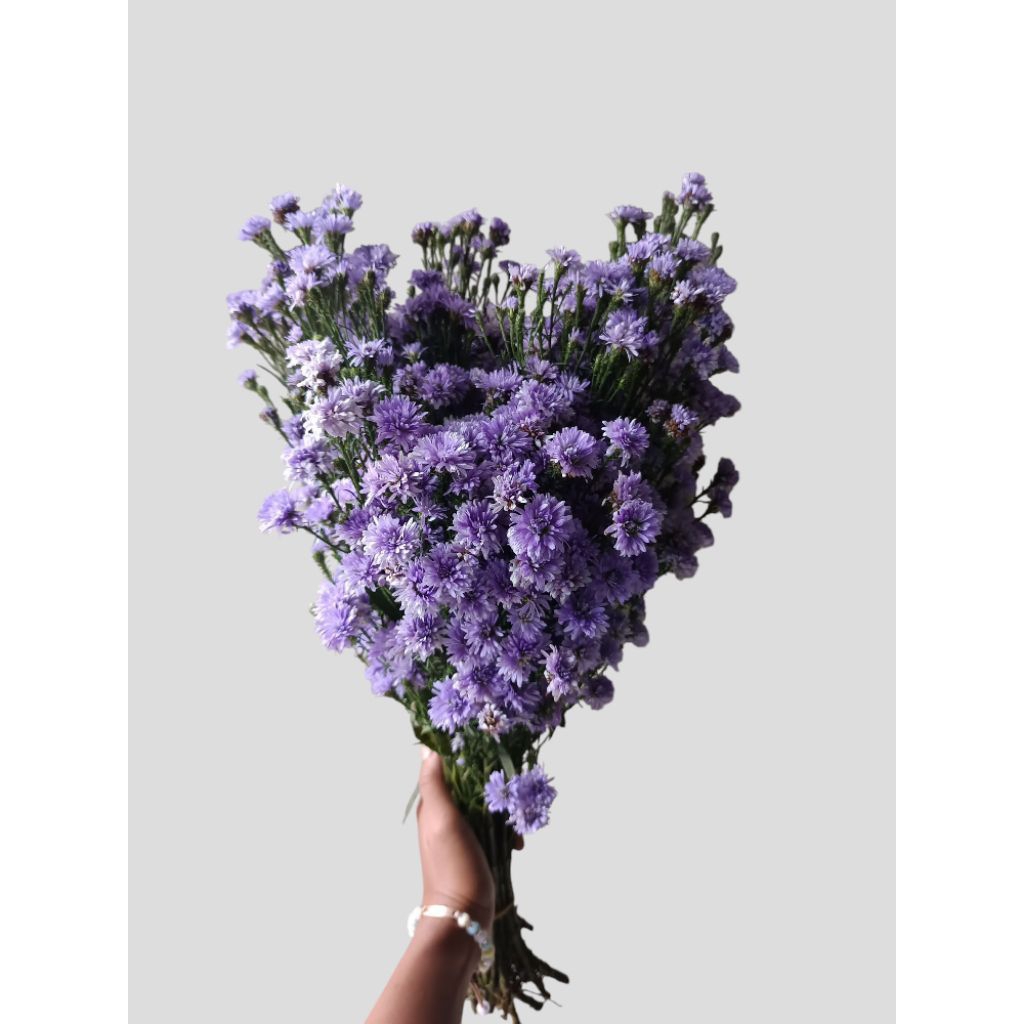 Bunga Potong Pikok Fress warna Ungu isi banyak