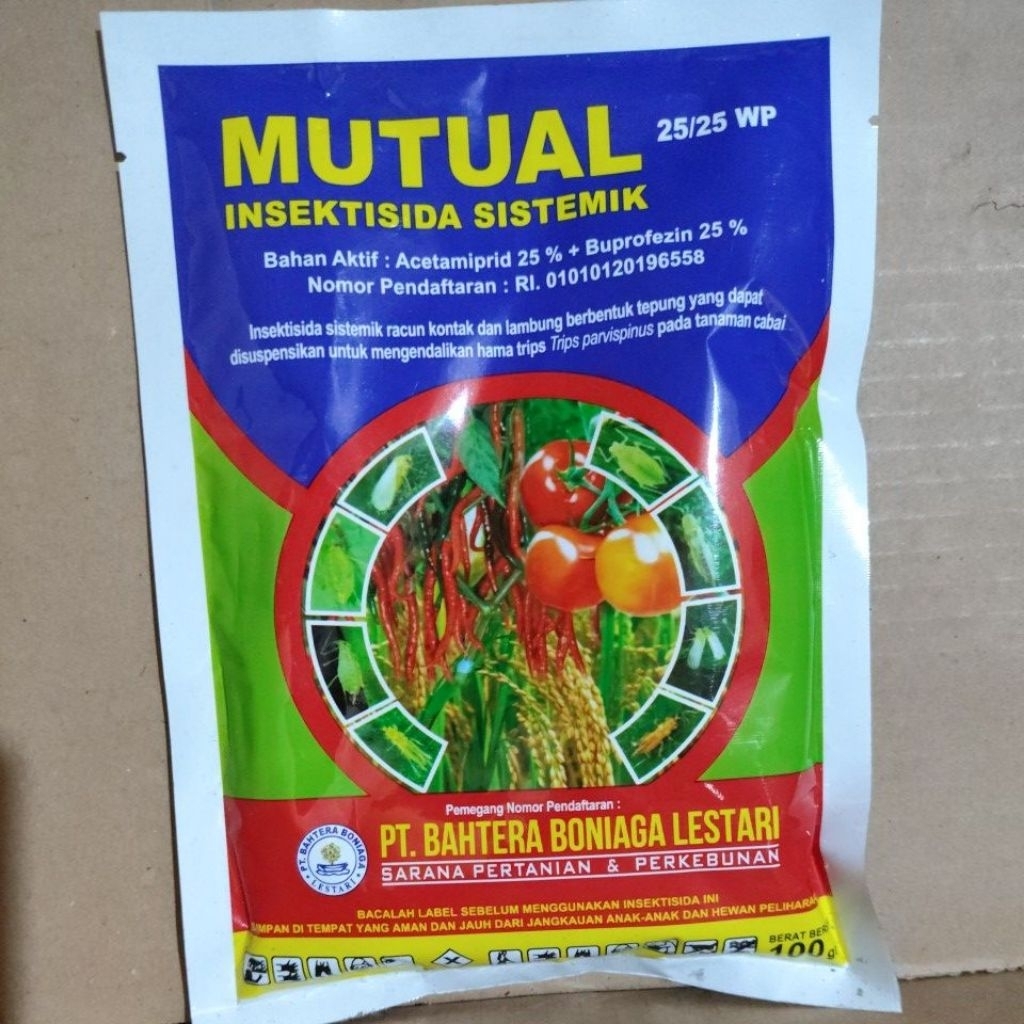 Mutual 100gram insektisida sistemik kutu kebul trips