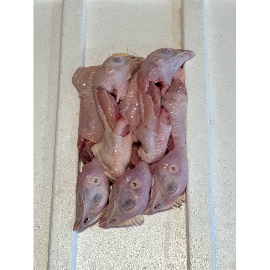 

Kepala ayam isi 5pcs