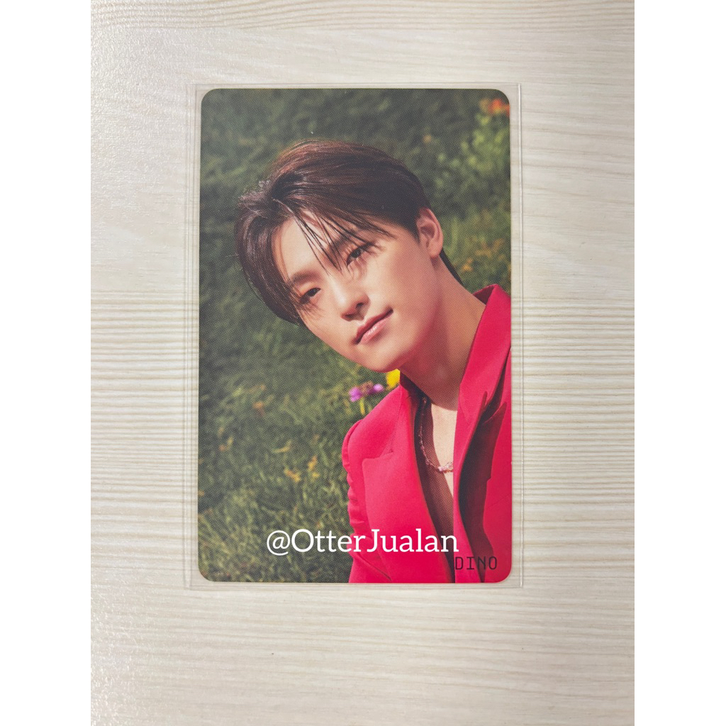 Seventeen DINO Photocard - HMV Sector 17 Compact Ver.