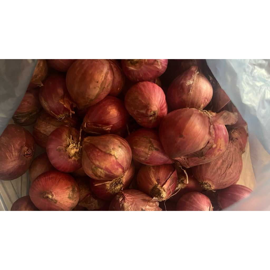 

bawang merah 500gr