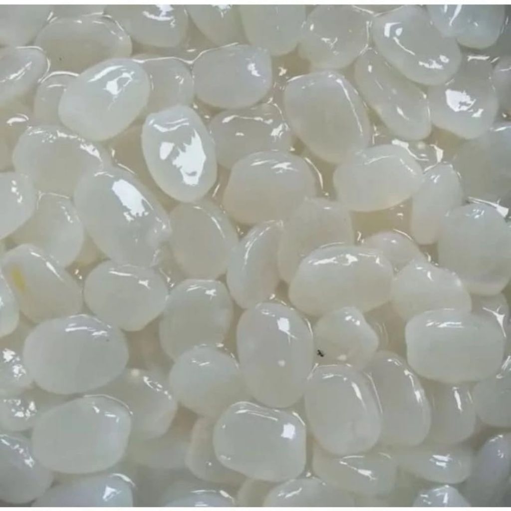 

kolang kaling segar kolang kaling medan bahan manisan berkualitas 1 kg bersih