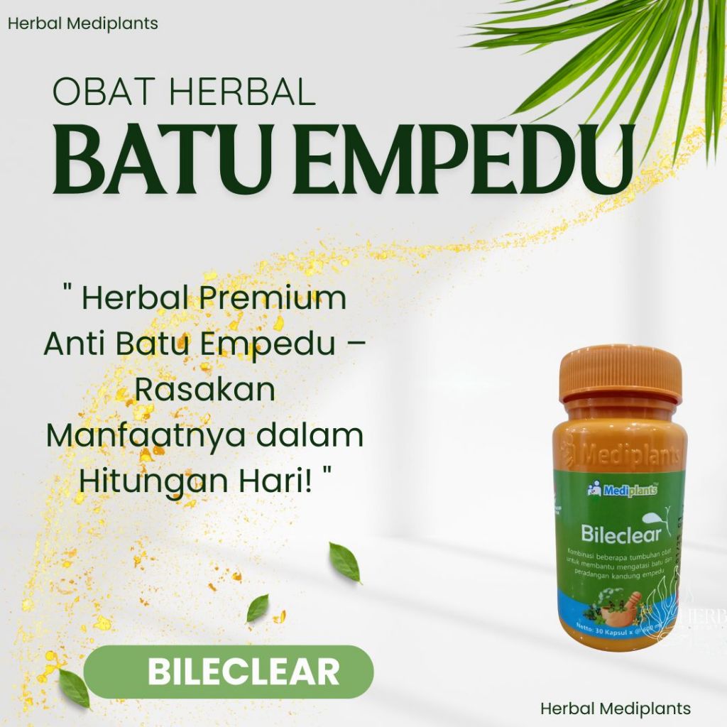 Bileclear - Obat Herbal Batu Empedu - Herbal Radang Batu Empedu Paling Ampuh - Mediplants