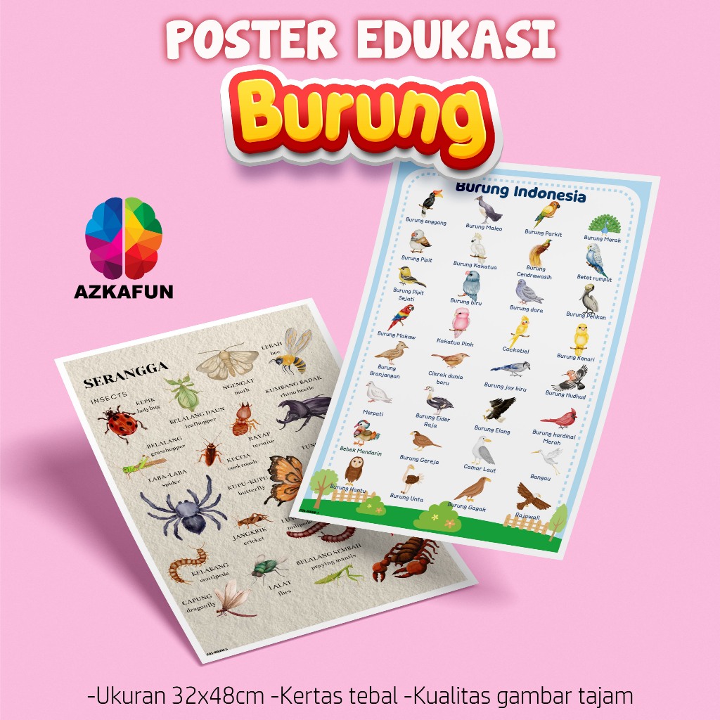 Poster Edukasi BURUNG - Poster edukasi anak hewan