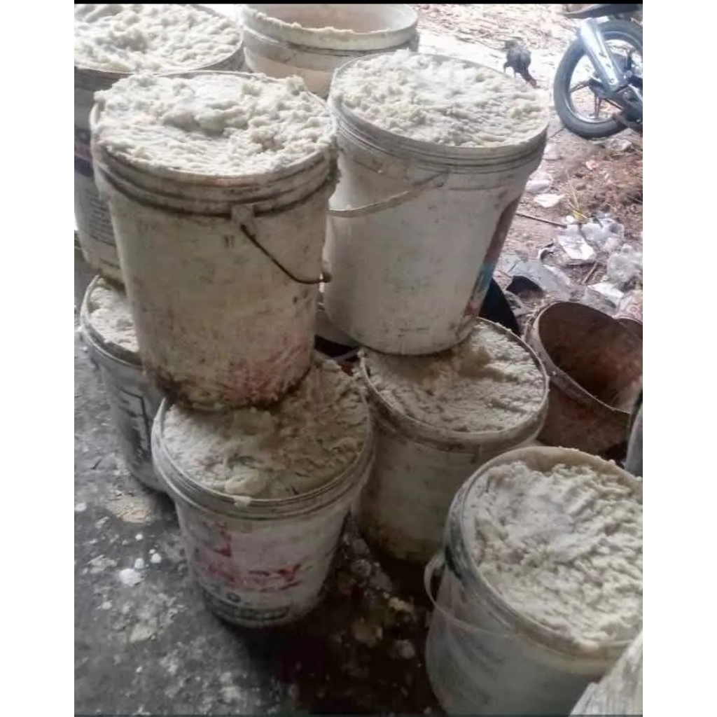 

PROMO!! ampas tahu fres 1kg untuk pakan baby magot