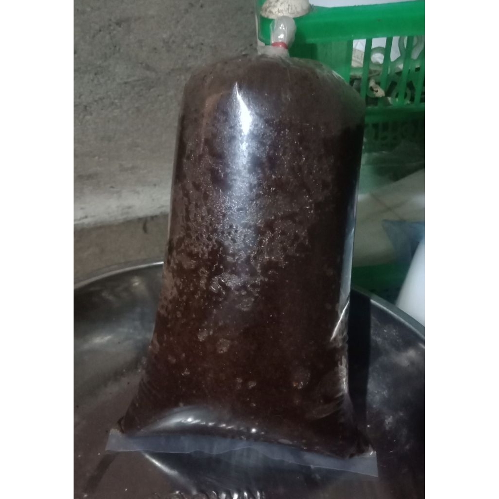 

kelapa sangrai khas pariaman/padang