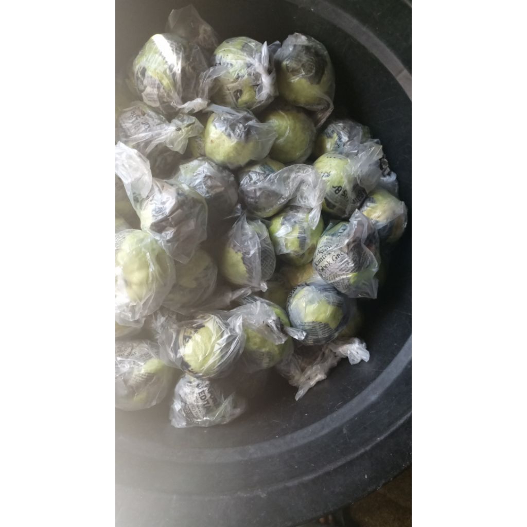 

Jambi kristal langsung dari kebun y