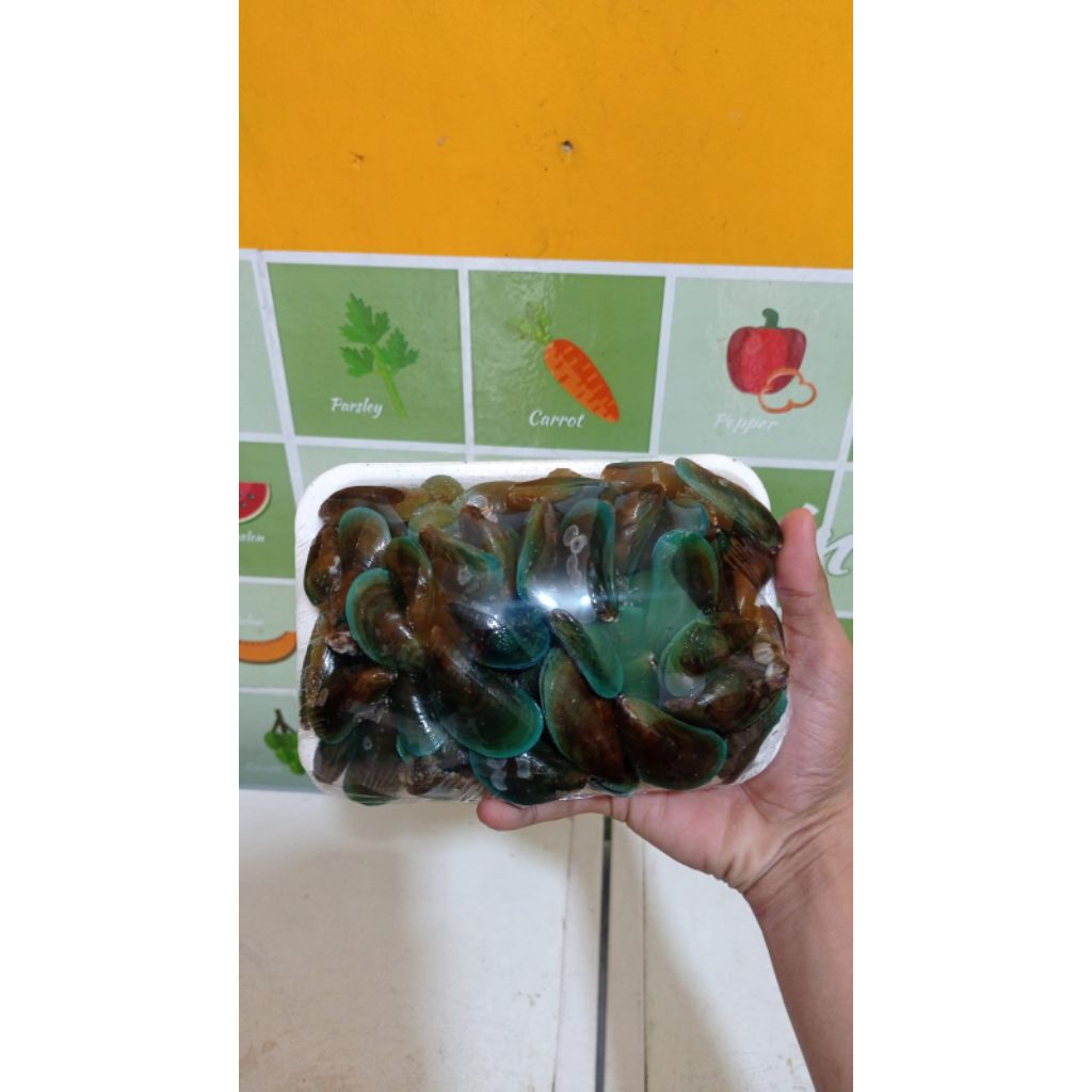 

Kerang Hijau 1 Kg