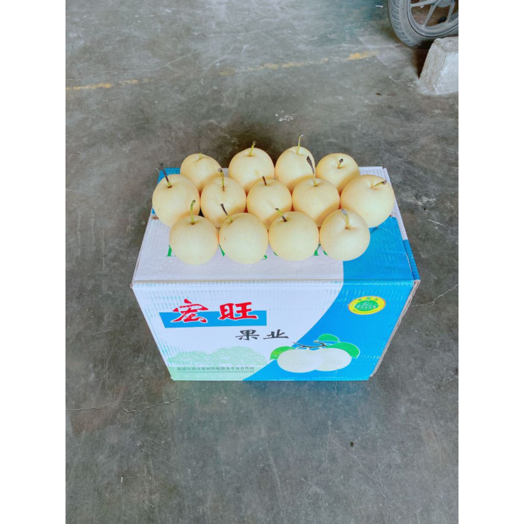 

PIR / PEAR CENTURY FRESH SEGAR 1KG SORTIR
