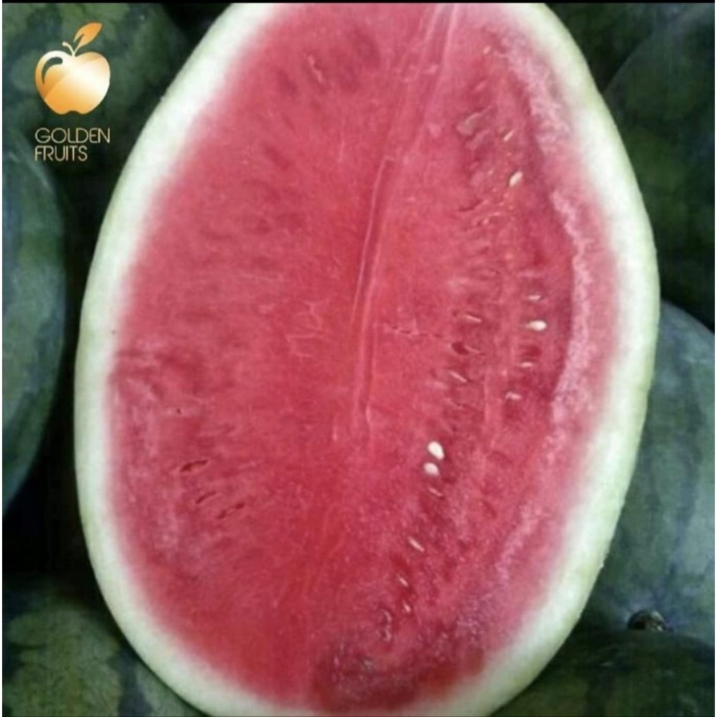 

Buah semangka merah non biji per 1 buah