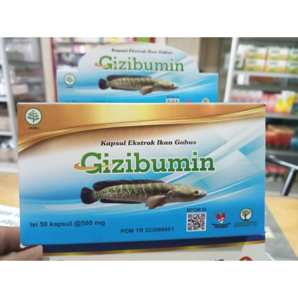 

Gizibumin