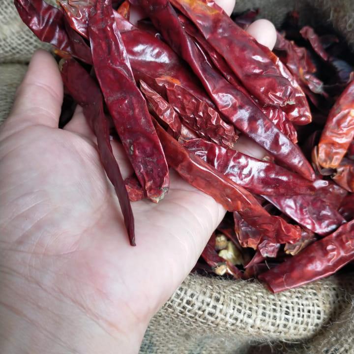 

Cabai Kering / Cabe Kering Teja India Grade A 250 gram Tanpa Tangkai Super Pedas