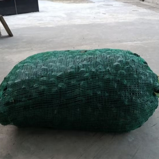 

paket cargo 10 kg jengkol muda belum kupas