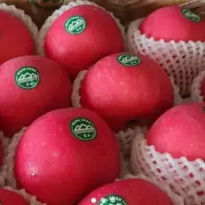 

APEL WANG SAN SUPER FRESH 850-900 Gram