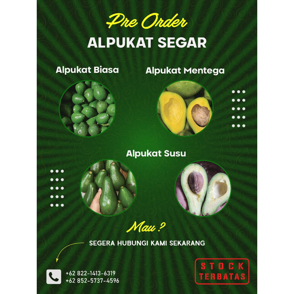 

Alpukat biasa