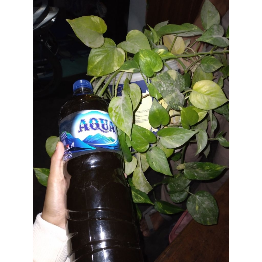 

Juroh/Gula Jawa Cair dari pohon lontar/bogor kemasan 600ml