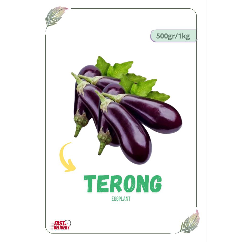 

TERONG UNGU