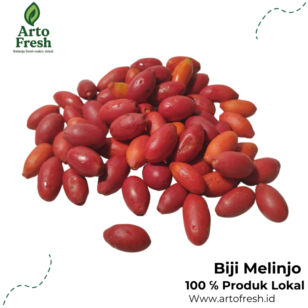 

Biji Melinjo Fresh, Artofresh